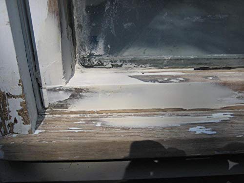 Abatron WoodEpox Kit - 12 oz - 2-Part Structural Epoxy Adhesive Filler - Wood Filler Putty Abatron