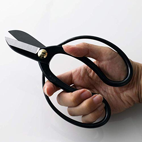 Wazakura Made in Japan Ikebana Tool Kit - Koryu Scissors + Black Kenzan Flower Holder, Japanese Floral Arrangement Set, Florist Shears and Pin Frog Wazakura