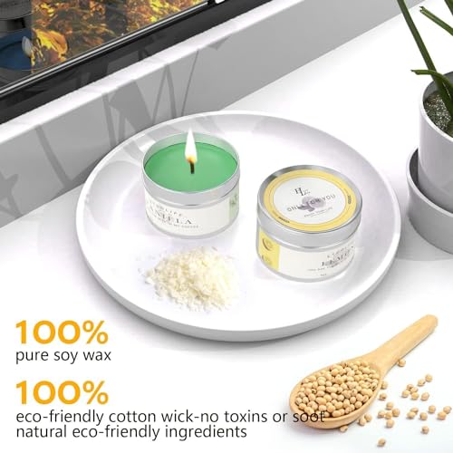 Complete Candle Making Kits for Adults Beginners,DIY Candle Making Supplies Include Soy Wax,Wax Melter,Scents,Dyes,Wicks,Wicks Sticker,Candle Tins &