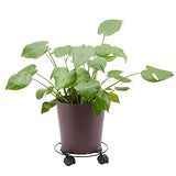 Bright Creations 4 Pack Metal Rolling Plant Stand Base, Planter Caddy with Wheels for Indoor and Outdoor Pots (10.6 Inches) Bright Creations