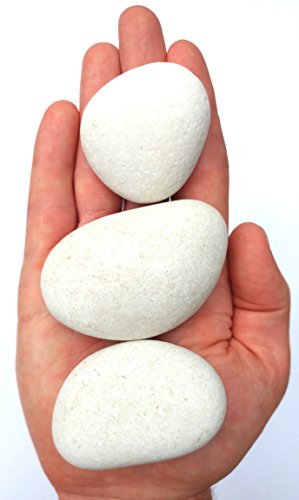 Rocks for Painting, Painting Rocks, Perfect For Rock Painting, 10 Smooth Rocks For Painting Capcouriers