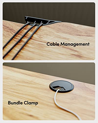 BANTI 63"x28" L Shaped Standing Desk, Electric Stand up Height Adjustable Home Office Table, Sit Stand Desk, Light Rustic Brown Top BANTI