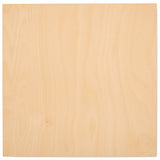 6 mm Baltic Birch Plywood 1/4 x 12 x 12 Inch, Box of 1 B/BB Grade Craft Wood, Stronger Than Basswood Sheets, for Laser, CNC Cutting and Wood Burning, Woodpeckers