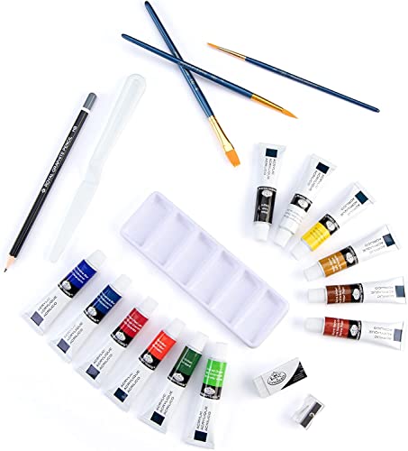 Royal & Langnickel Essentials Clear View Acrylic Painting Set, Small - WoodArtSupply