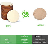 30 Pieces 4 Inch Wood Circles for Crafts Unfinished Wood Rounds Wooden Cutouts for Crafts, Wooden Circles for Kids Painting, Wood Burning Blank Wood Phinicco