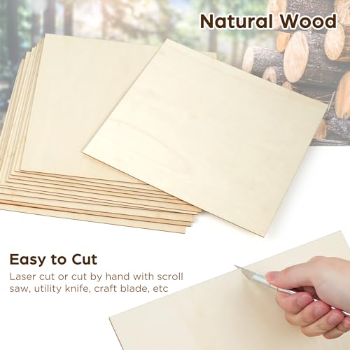 LotFancy Basswood Sheets, 12 Pack, 12 x 12 x 1/16 Inch, Plywood Sheets with Smooth Surfaces, 1.5mm Craft Wood Board for Laser Cutting, DIY - WoodArtSupply