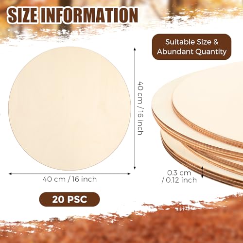 Suzile 20 Pcs 16 Inch Round Wood Circles for Crafts Unfinished Wood Rounds Blank Wood Signs Wood Cutouts Wood Discs for Crafts, Door Hanger, Door Suzile