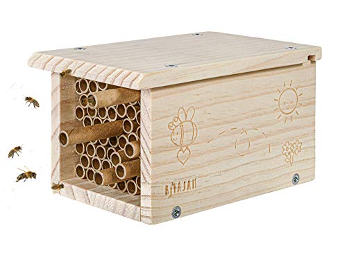 Rivajam Build a Bee House DIY Woodworking Project | Solitary Mason Bee House Nesting Box Wood Building Kit & Tools | Garden Arts & Crafts Activities - WoodArtSupply