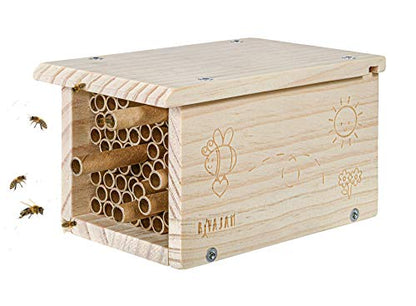 Rivajam Build a Bee House DIY Woodworking Project | Solitary Mason Bee House Nesting Box Wood Building Kit & Tools | Garden Arts & Crafts Activities - WoodArtSupply