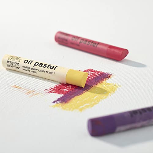 Winsor & Newton Professional Oil Pastels, Set of 15 Winsor & Newton