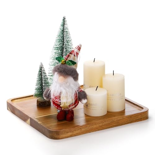 Elsjoy 2 Pack Acacia Wood Square Serving Tray, 10 Inch Square Wood Serving Platter Wooden Serving Board, Square Acacia Wood Plates for Charcuterie, Elsjoy