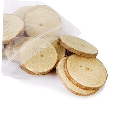 20pcs Mini Log Slices Wood Slab for Crafts Unfinished Wood Slices Small Wood Slice Birch Wood Slices Unfinished Wood Crafts Wood Slices Circles Bulk SEWOART