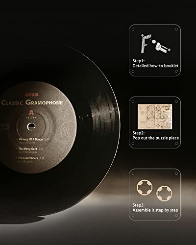 ROKR 3D Wooden Puzzles for Adults-Model Building Kit for Adults to Build-424Pcs DIY Wood Craft Kit-Room Decor for Men and Women ROKR