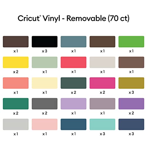 Cricut Removable Vinyl - Ultimate Sampler, 12x12 Vinyl Sheets and Transfer Tapes, No Residue or Marks, Removable Adhesive Vinyl for Cricut Machines, - WoodArtSupply