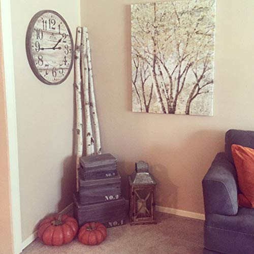 Wilson White Birch Decorative Poles - Natural Wood Bark Kiln Dried Home Décor, 7' L x 1.5-2.5" D (3 Poles) Wilson