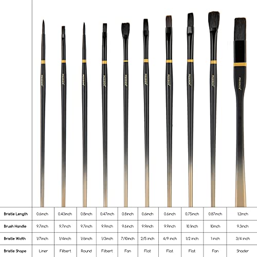 MEEDEN Professional Paint Brushes Set, 10 PCS Long Handled Artist Paint Brushes for Oil,Acrylic,Watercolor Painting, Hog Bristle Oil Paint Brushes of - WoodArtSupply