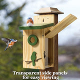 Kingsyard Classic Bird House with Prdator Guard, Bluebird Wren Chickadee Viewing House, Wooden Nesting Box for Outdoor Garden Patio, Green Kingsyard