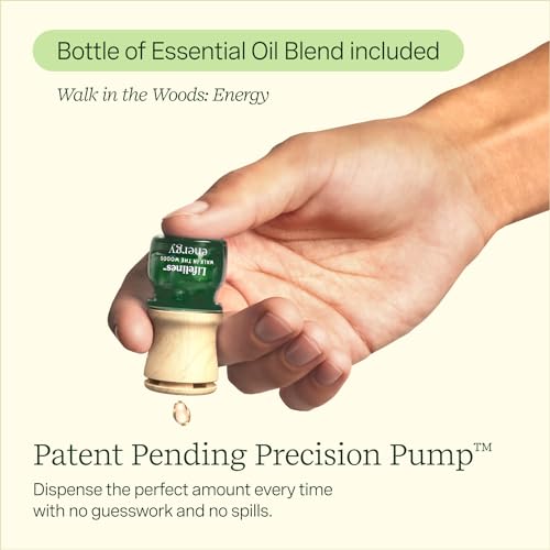 Lifelines Scent-Infused Meditative Fidget Stones 2-Pack & Essential Oil Set, Portable Essential Oil Diffuser with Individual Walk in The Woods: Lifelines