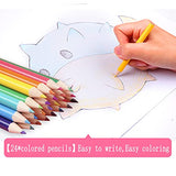 DLUCKY 208 PCS Art Supplies, Drawing Art Kit for Kids Adults Art Set with Double Sided Trifold Easel, Oil Pastels, Crayons, Colored Pencils, DLUCKY