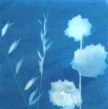 SunPrint Paper Kit SunPrint