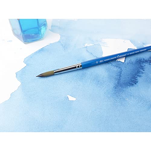 Winsor & Newton Brush, Wood, Transparent, No 9 -. 5.6 mm, Round - Brush, Short Handle Winsor & Newton