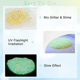 Glow in The Dark Glitter, SEISSO 12 Bottles Luminous Glitter with UV Flashlight Set, 10g/Bottle Chunky Glitter Powder for Resin Arts Crafts, Body SEISSO