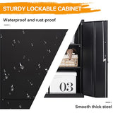 STANI Metal Storage Cabinet with 2 Adjustable Shelves, Steel Counter Cabinet with Lockable Doors for Home Office (Black) STANI