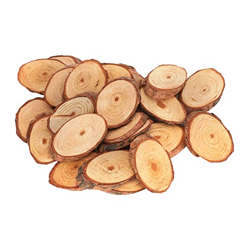 25Pcs Wood Slices Craft Oval Unfinished Wood kit Predrilled with Hole Wooden Circles for Arts Wood Slices Christmas Ornaments DIY Crafts LIZEALUCKY