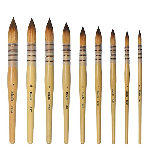 Biaelk 16RT 9PCS Full Set Taklon Hair Wooden Handle Watercolor & Acrylic Paint Brushes Round Pointed Tip Paint Brushes Set, Size - WoodArtSupply