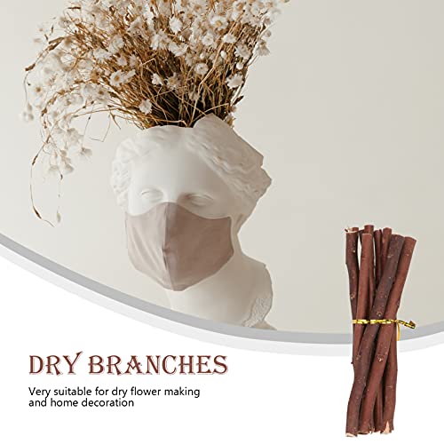 Garneck 40 Pcs Wood Log Sticks Craft Sticks Natural Dry Branches Rod Farmhouse Centerpiece Decor Twigs for DIY Crafts Woodworking Modelling Photo Garneck