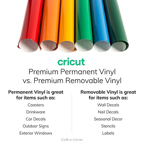 Cricut Premium Permanent Vinyl in Rainbow Colors Bundle - Custom Design DIY Craft Projects Home Decoration Decals Mug Signs Tumblers Party - WoodArtSupply