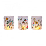 PlayMonster Craft-Tastic Nature Lantern - Nature DIY Craft Kit - Outdoor Crafting Fun - Bring Nature Inside - Comes with Material to Make Lantern PlayMonster