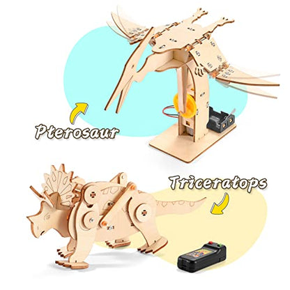 Dinosaur STEM Kits for Kids Ages 6-8-10-12, 4 in 1 Stem Projects, Wood Building Toys for Boys Age 8-12, Build It Yourself Woodworking Kit, DIY 3D