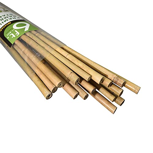 Mininfa Natural Bamboo Stakes 6 Feet, Eco-Friendly Garden Stakes, Plant Stakes Supports Climbing for Tomatoes, Trees, Beans, 20 Pack - WoodArtSupply