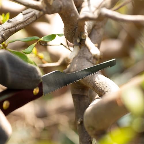 RANSHOU Japanese Mini Hobby Saw 3" Made in JAPAN, Japanese Small Pull Saw for Wood, Plastic, PVC, Crafts, Wood Handle RANSHOU