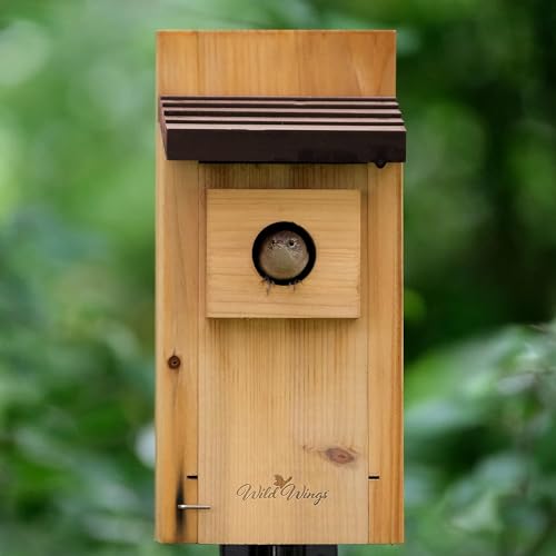 Wild Wings WWCH3 Cedar Blue Bird Box House Wild Wings