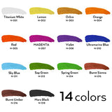 Nicpro 14 Colors Large Bulk Acrylic Paint Set (16.9 oz,500 ml) Rich Art Painting Supplies, Non Toxic for Multi Surface Canvas Wood Leather Fabric Nicpro