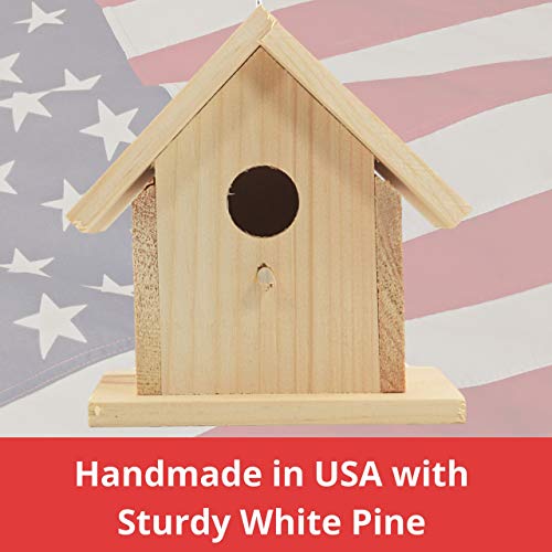 Unfinished Birdhouse to Paint for Birdwatching with Perch, Natural Wood Pine Frame for Finches and Songbirds, Heavy Duty Outdoor Hanging Use (6.5")