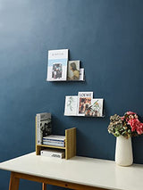 LikeU Nail Polish Rack Wall Mounted Shelf 4 Pack,Clear Acrylic Nail Polish Holder Organizer with Removable Anti-slip End Inserts,4 Tiers Floating LikeU