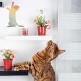 OLYCRAFT 4Pcs Unfinished Wood Pieces 5.8x4.3 Inch Cat Wood Pieces Cat Cutout Unfinished Wood Undyed Wood Cat Slices Blank Wood Slices for DIY Crafts OLYCRAFT