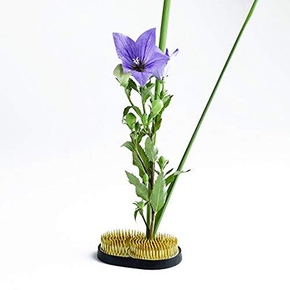 Wazakura Sun and Moon Ikebana Kenzan, Made in Japan, Pin Frog Japanese Flower Holder for Floral Arrangement - 3-3/4"x2-1/4(93x59mm) Brass - WoodArtSupply