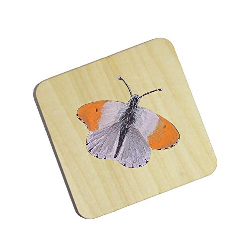 MONKEY SUN 48 Pieces 4 x 4 Inches Unfinished Square Wood Blank Coaster Bulk for Drinks, Painting, Writing, Bar, Kitchen Home Decor, DIY Craft, Party MONKEY SUN