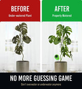 GROWIT Soil Moisture Meter for Plants - Plant Moisture Meter for House Plants | Hydrometer for Plants | Plant Moisture Meter Houseplants | Water Craft911