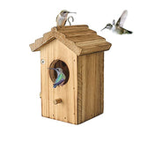 Hummingbird House for Outside Hanging Small Bird Nesting Box - Wood Nest for Robin, Hummingbird, Parakeet, Bluebird - Perch House for Outdoors NATUREYLWL