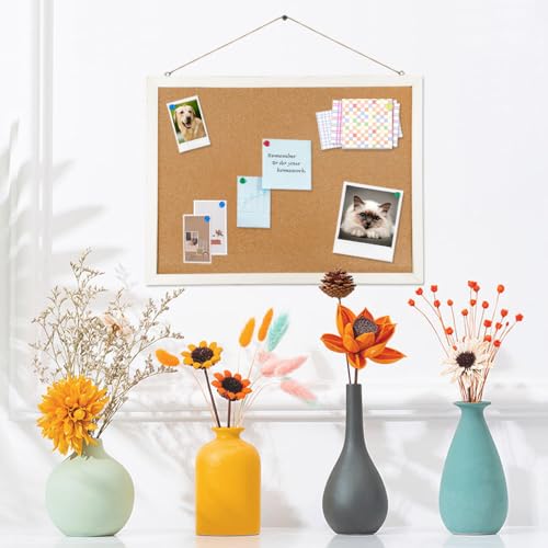 Cork Board Bulletin Board, 15.7"X 12" Cork Board, Rectangle White Oak Wood Finish Frame, Wall Mounted Cork Board for Office Home and School(Pins, Eye BGJRBY