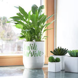 15 Posca Paint Markers, 5M Medium Posca Markers Set with Reversible Tips of Acrylic Paint Pens | Posca Pens for Art Supplies, Fabric Paint, Fabric posca