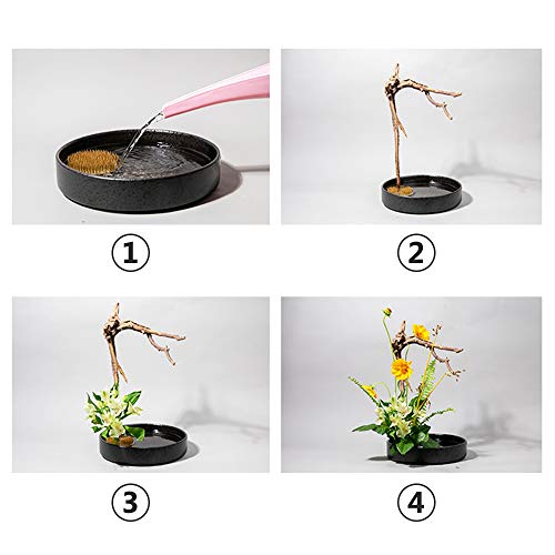 3/Set Flower Frog Japanese Ikebana Flower Arrangement Kenzan Kit, 2.4”Round Floral Frog Moribana+1.6”Square Ikebana Kenzan+2.1”x1.4”Rectangle Pin Eggone