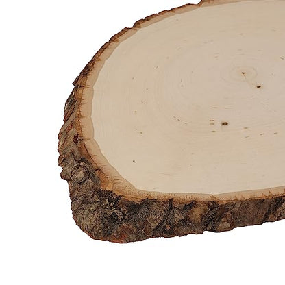 Walnut Hollow Rustic Basswood Round, Medium 7-9" Wide with Live Edge Wood (Pack of 12) - for Wood Burning, Home Décor, and Rustic Weddings - WoodArtSupply