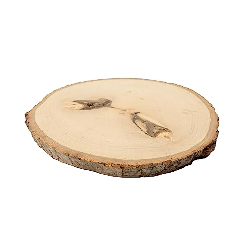 Walnut Hollow Rustic Basswood Round, Small 5-7" Wide with Live Edge Wood (Pack of 6) - for Wood Burning, Home Décor, and Rustic Weddings - WoodArtSupply