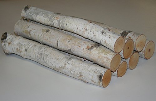 Wilson 17"-18" Decorative White Birch Logs, Natural Bark Wood Home Décor - 1.5"-3" Dia. (Set of 8) Wilson